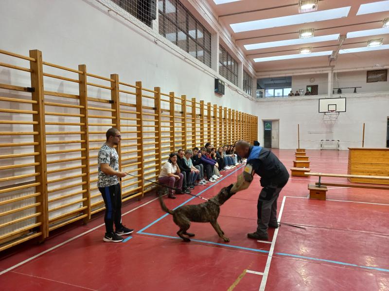 Munkakutya bemutató fiatal kutyával