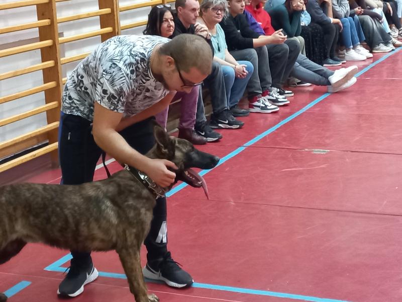 Munkakutya bemutató fiatal kutyával