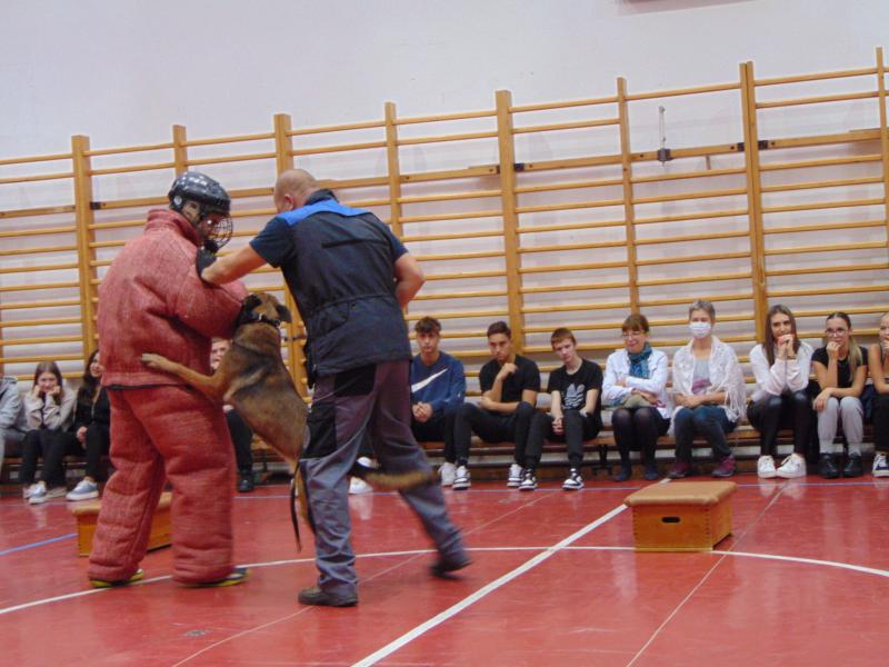 Munkakutya bemutató kiképzett kutyával